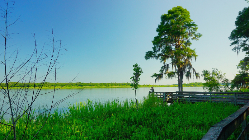 Tour the Delta: Exploring the Mobile-Tensaw River Region | Bellator Real Estate